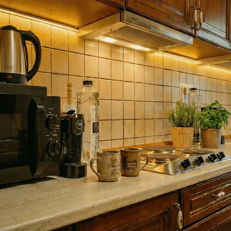 Joy High-end Comfort With Panoramas * ティミショアラ